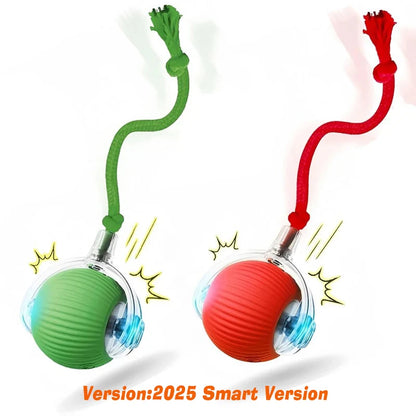 Interactive Cat Toy