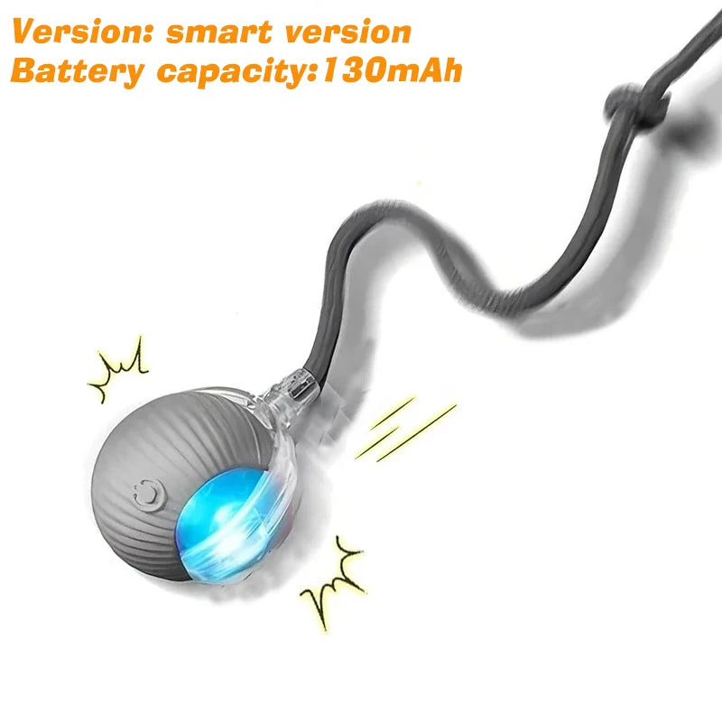 Interactive Cat Toy