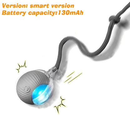 Interactive Cat Toy