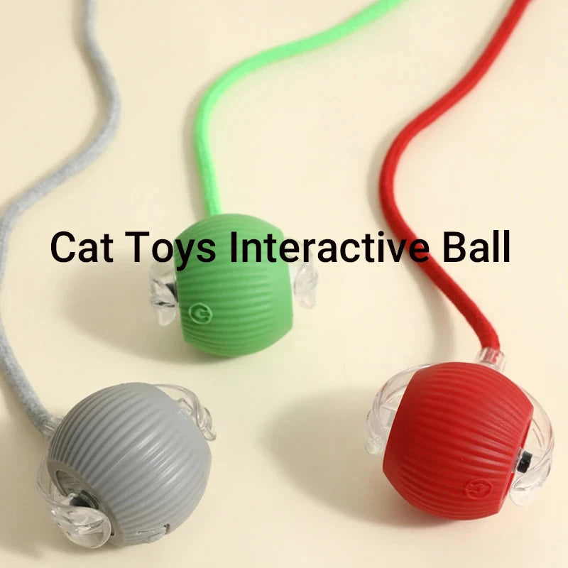 Interactive Cat Toy