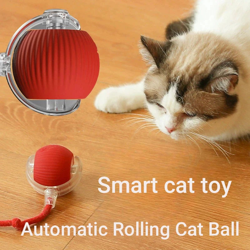 Interactive Cat Toy