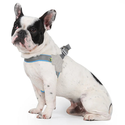 Comfort Fit Dog Harness