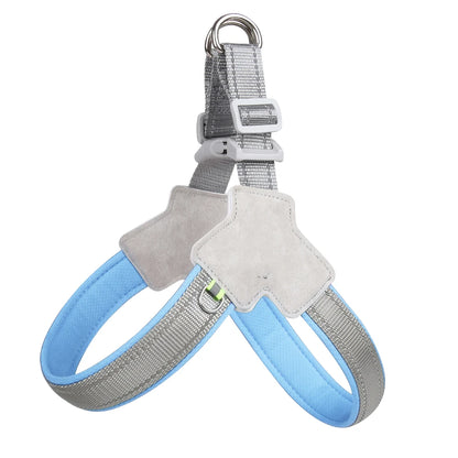 Comfort Fit Dog Harness