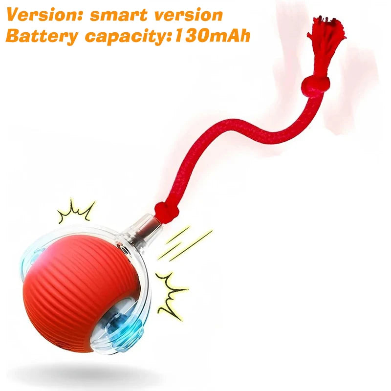 Interactive Cat Toy