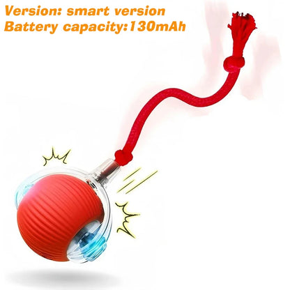 Interactive Cat Toy
