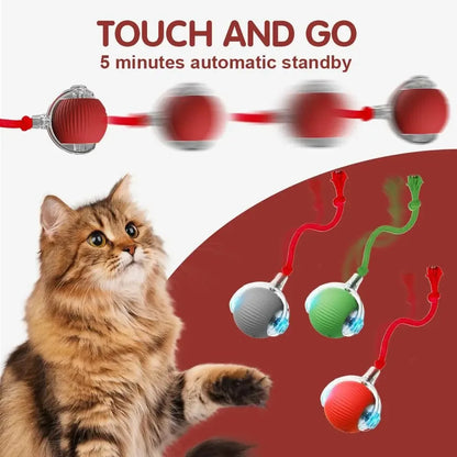 Interactive Cat Toy