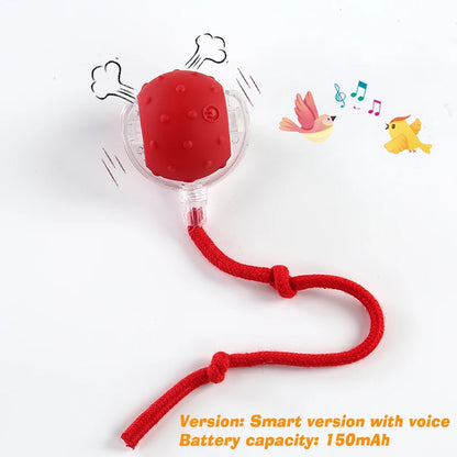Interactive Cat Toy