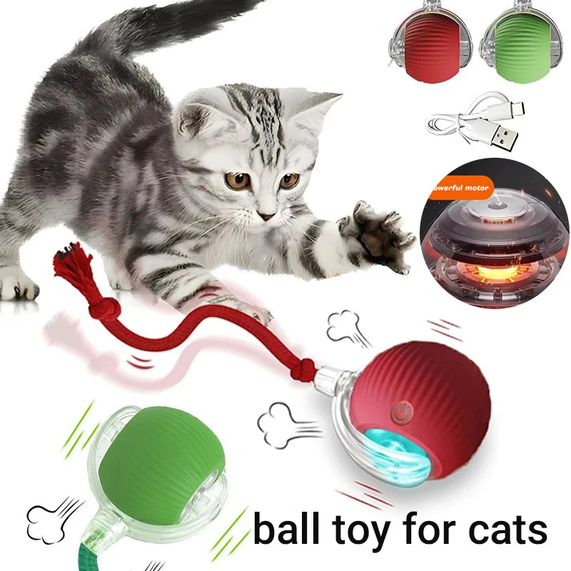 Interactive Cat Toy