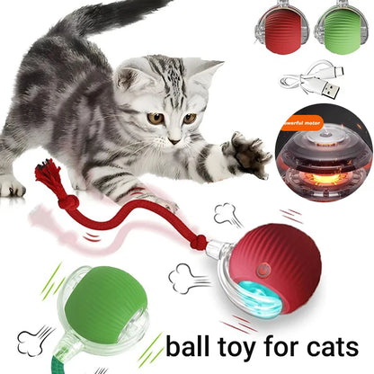 Interactive Cat Toy