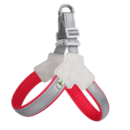 Comfort Fit Dog Harness
