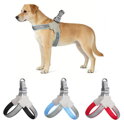 Comfort Fit Dog Harness