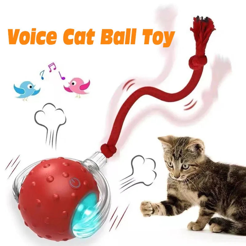 Interactive Cat Toy