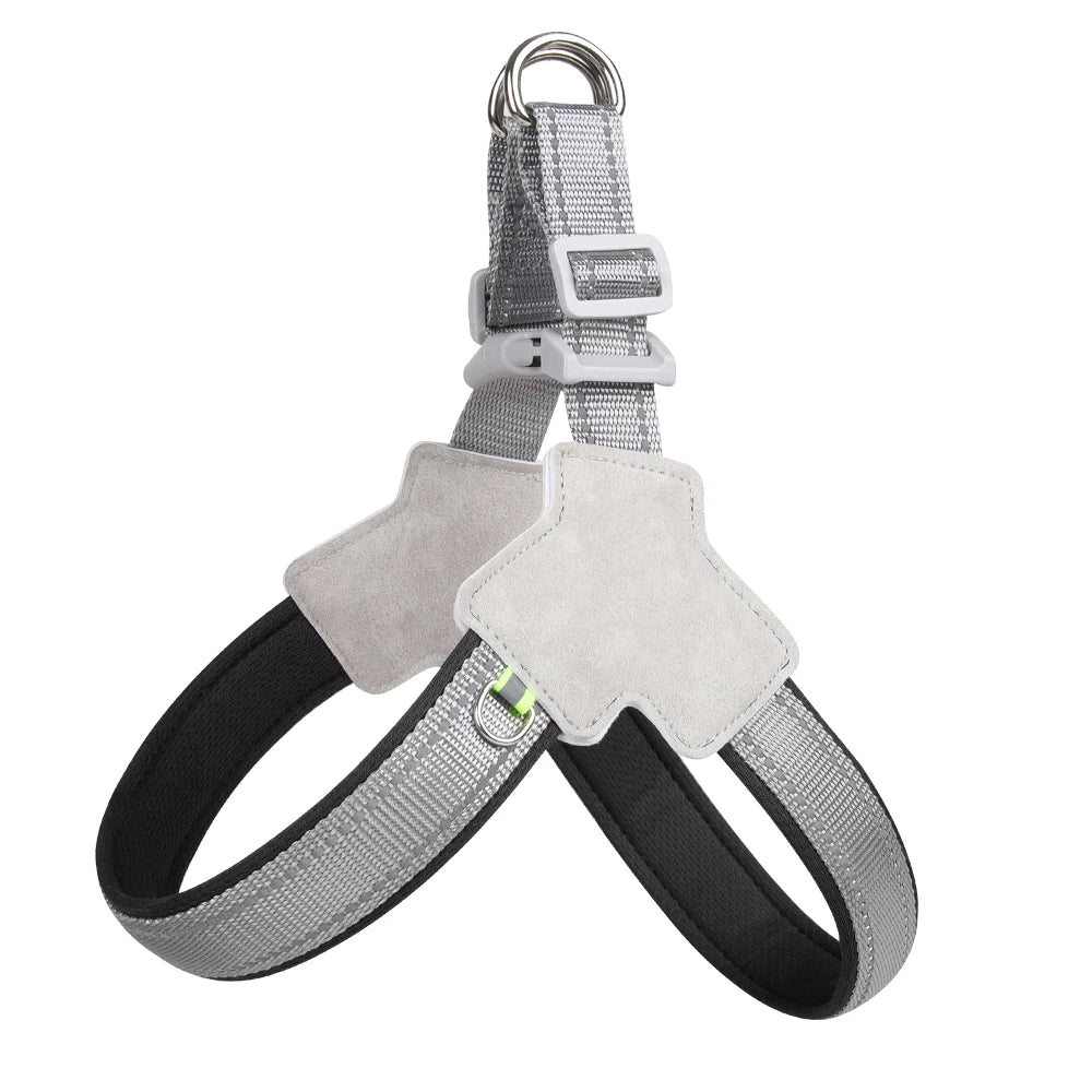 Comfort Fit Dog Harness