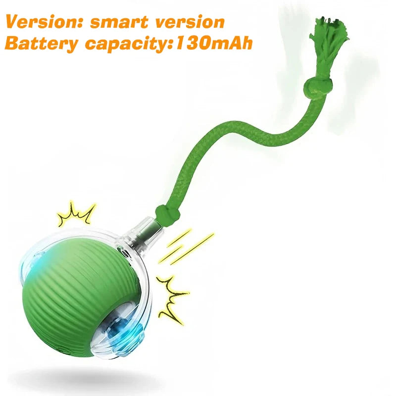 Interactive Cat Toy