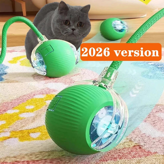 Interactive Cat Toy