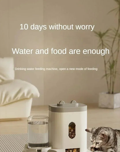 Automatic Kibble Dispenser